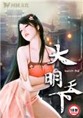 大明天下